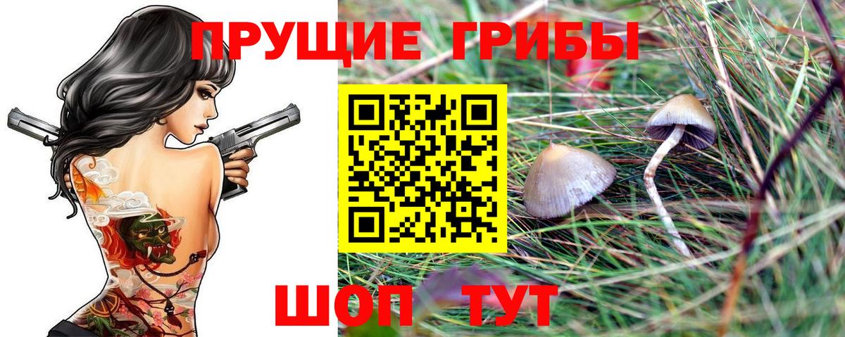Псилоцибиновые грибы мухоморы Сертолово