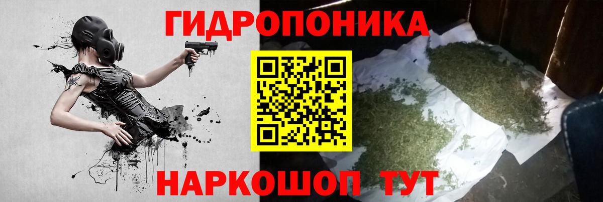 Бошки Шишки Amnesia  Конопля тримм  Вход с VPN  Сертолово 